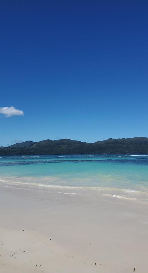 Yes Papa! Rooms Only 100M From The Beach! Las Galeras Buitenkant foto
