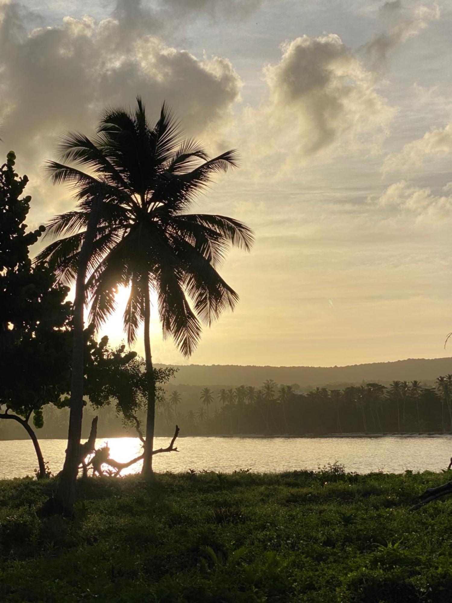 Yes Papa! Rooms Only 100M From The Beach! Las Galeras Buitenkant foto